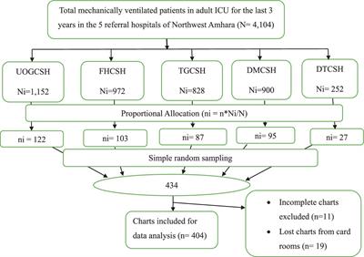 Mortality and its associated factors among mechanically ventilated adult patients in the intensive care units of referral hospitals in Northwest Amhara, Ethiopia, 2023
